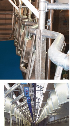 Доильный зал "Ёлочка" - GT2