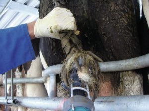 Устройства для удаления излишнего волосяного покрова