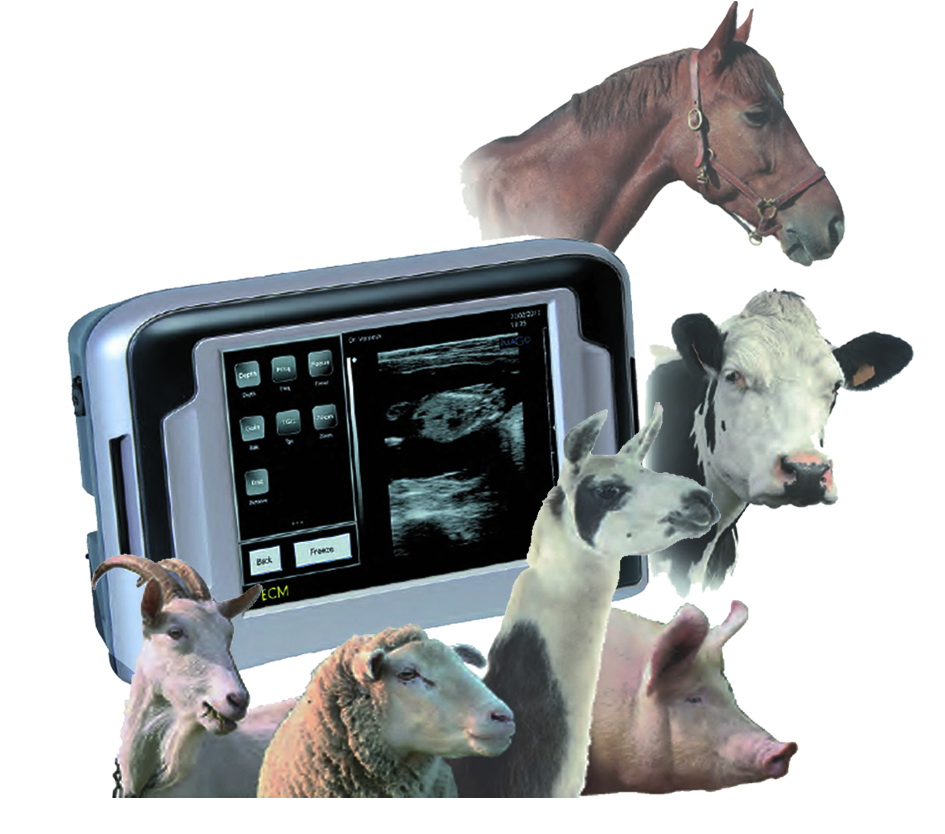 Ультразвуковые сканеры