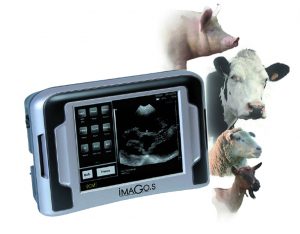 Ультразвуковые сканеры