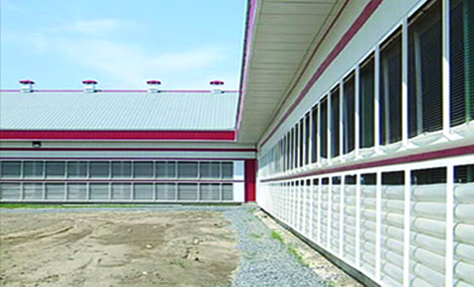 Надувные шторы для коровников