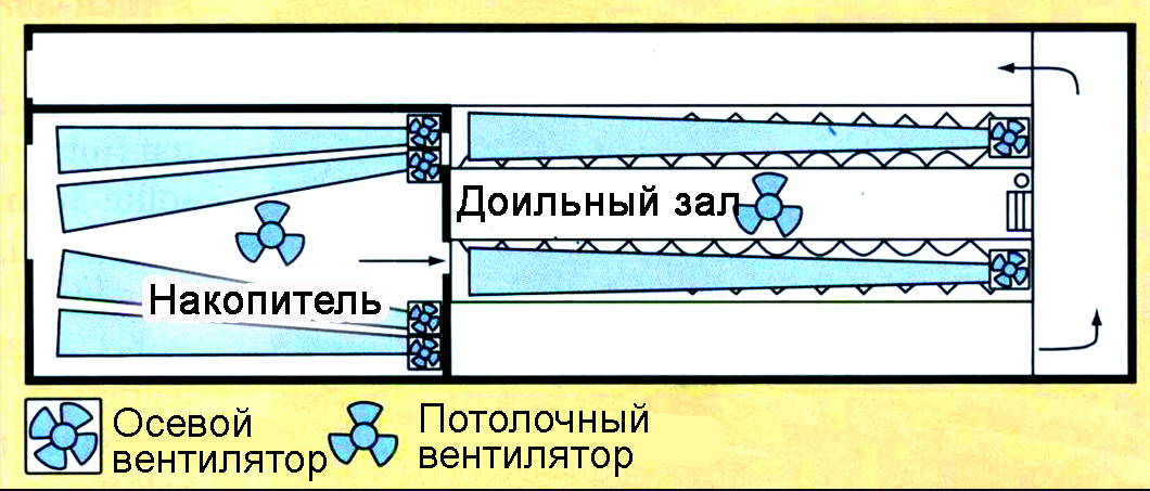 Циркуляционные вентиляторы для коровника
