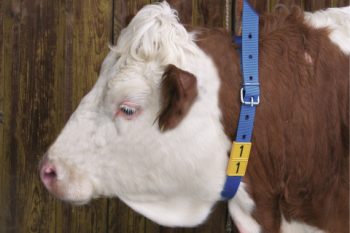 Приспособления для маркировки