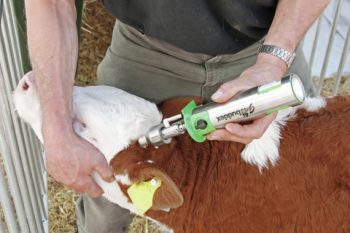 Приспособления для удаления рогов